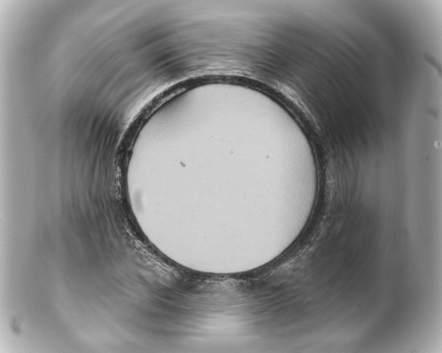 X0000099380926200805291125