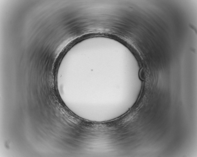 X0000099380927200805291125