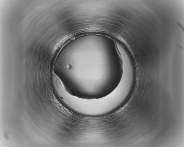 X0000099380930200805291125