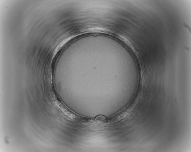 X0000099380931200805291125