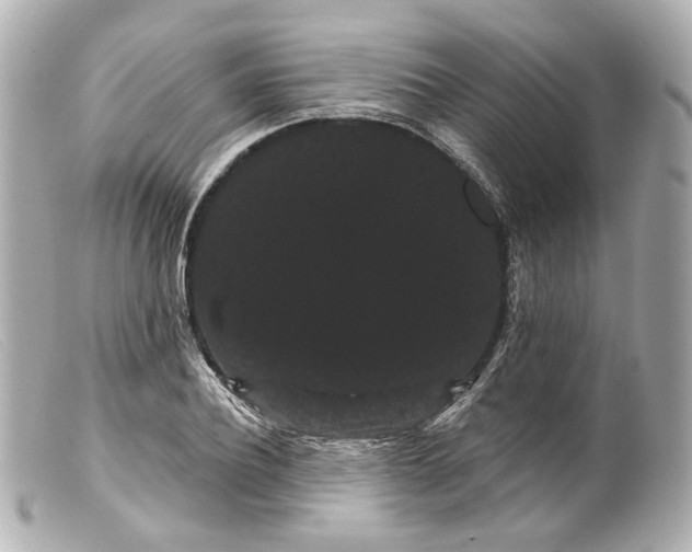 X0000099380932200805291125