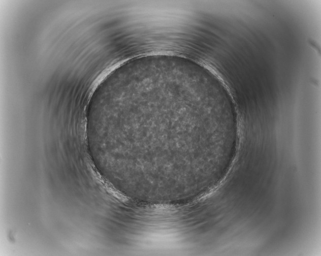 X0000099380933200805291125