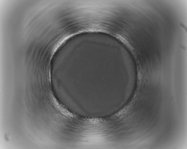 X0000099380934200805291125