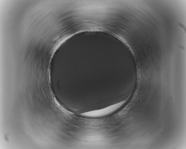 X0000099380935200805291125