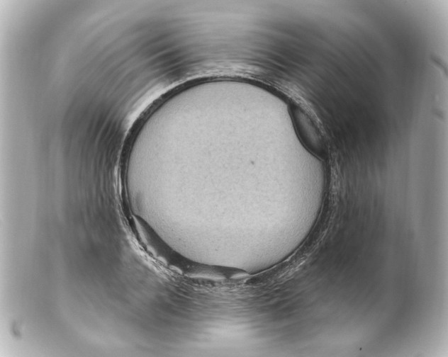 X0000099380936200805291125