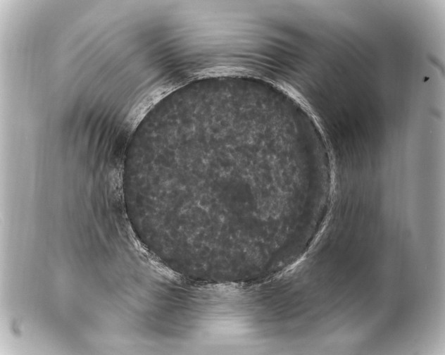 X0000099380937200805291125