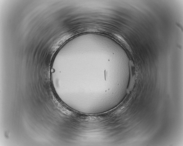 X0000099380938200805291125