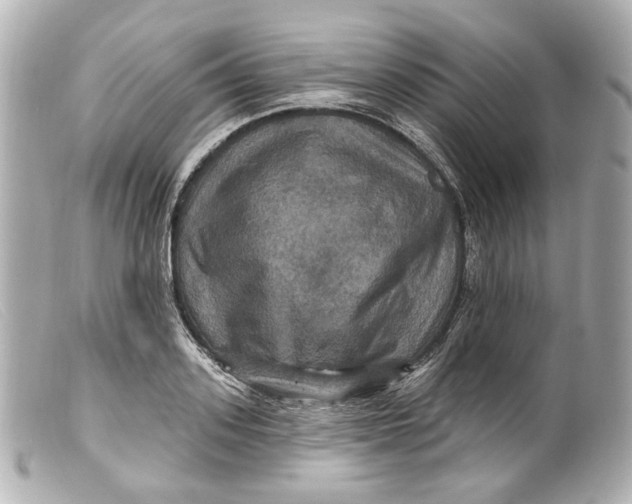 X0000099380939200805291125