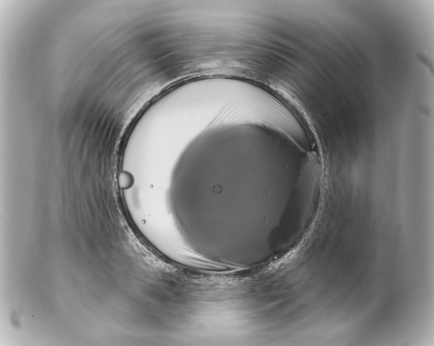 X0000099380941200805291125