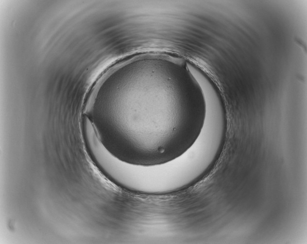 X0000099380942200805291125