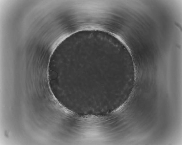 X0000099380943200805291125