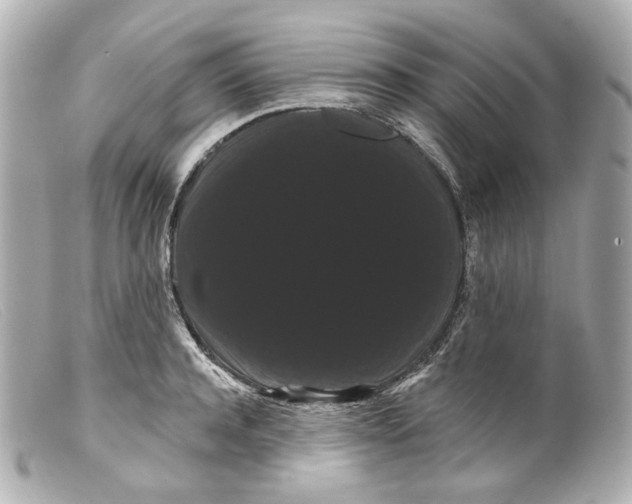 X0000099380944200805291125