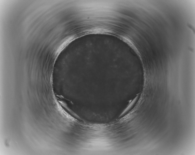 X0000099380946200805291125