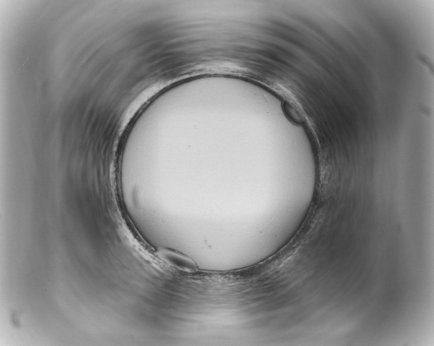 X0000099380947200805291125