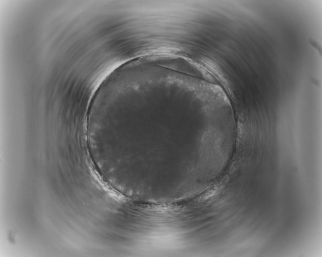 X0000099380948200805291125