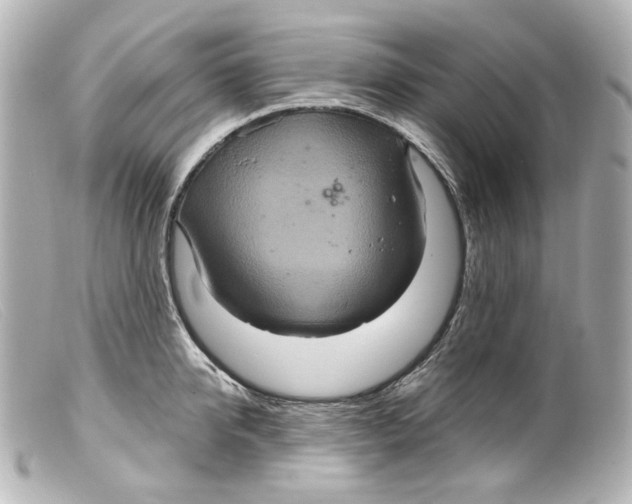 X0000099380950200805291125