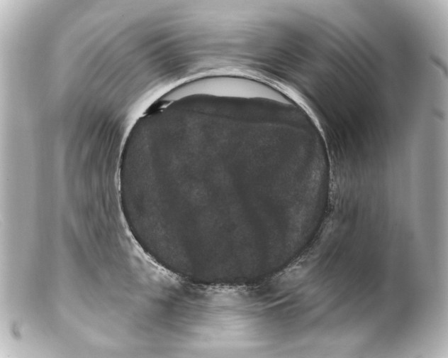 X0000099380951200805291125