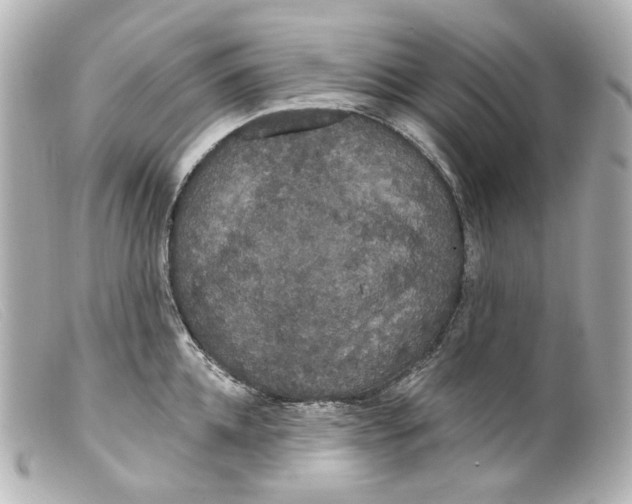 X0000099380952200805291125