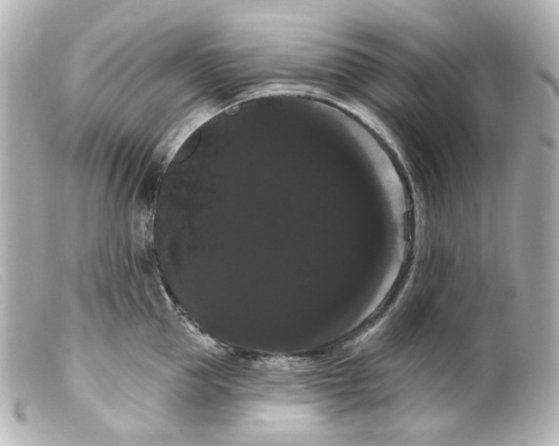 X0000099380953200805291126