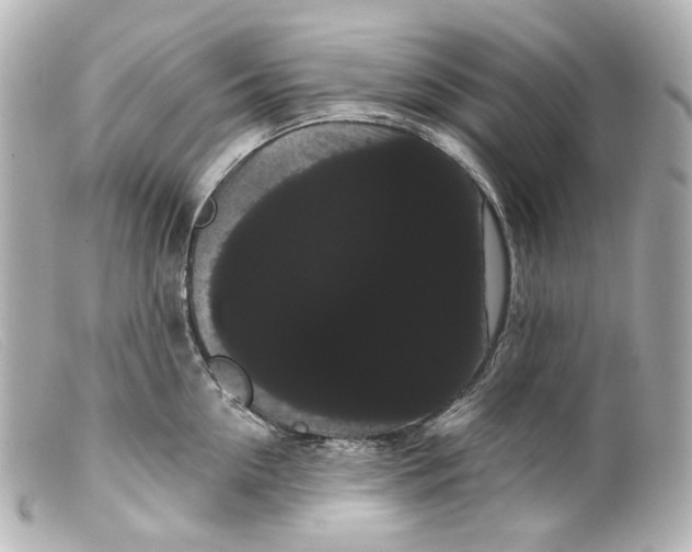 X0000099380954200805291126