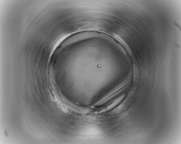 X0000099380956200805291126