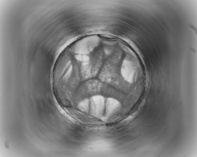 X0000099380957200805291126