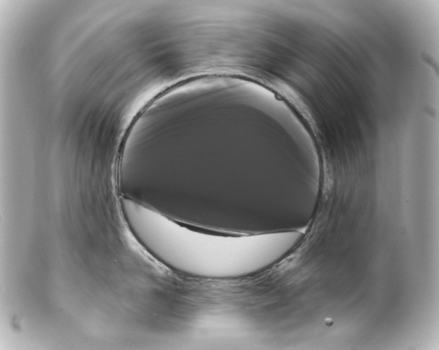 X0000099380958200805291126