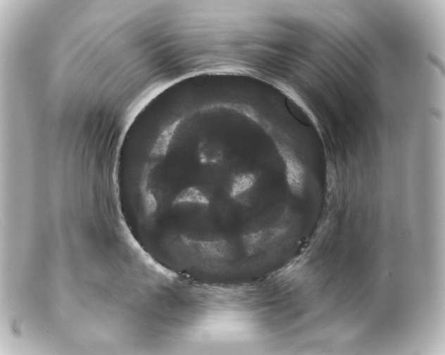 X0000099380959200805291126