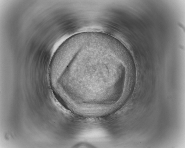 X0000099380960200805291126