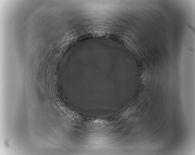 X0000099380961200805291125