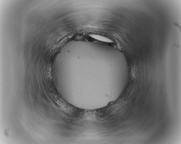 X0000099380964200805291125