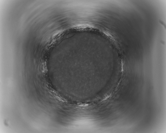 X0000099380965200805291125