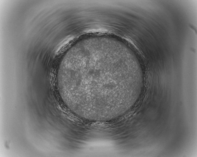 X0000099380967200805291125