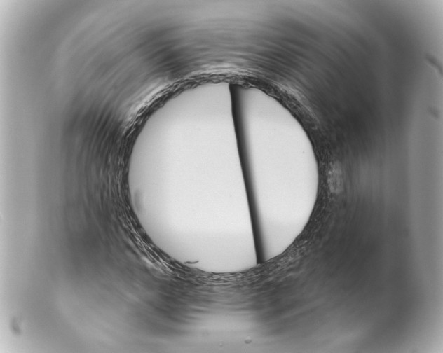 X0000099380968200805291125