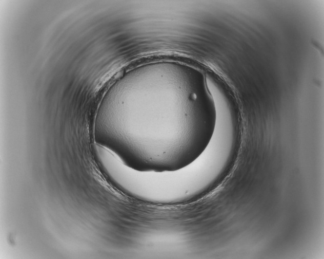 X0000099380969200805291125