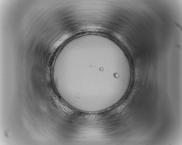 X0000099380970200805291125