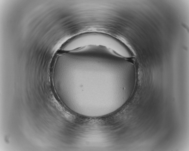 X0000099380972200805291125