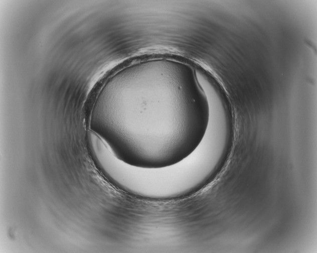 X0000099380973200805291125