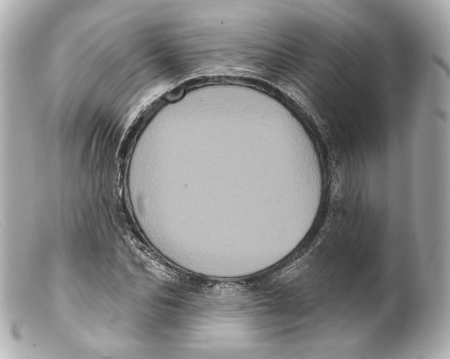 X0000099380974200805291125