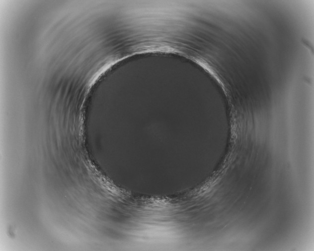 X0000099380975200805291125