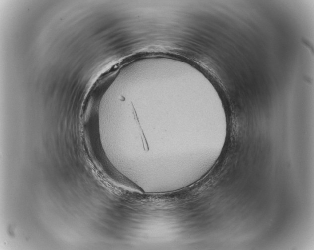 X0000099380976200805291125