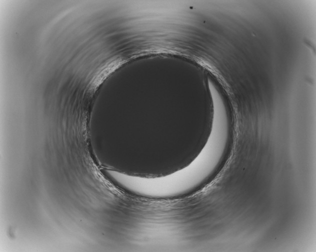 X0000099380977200805291125