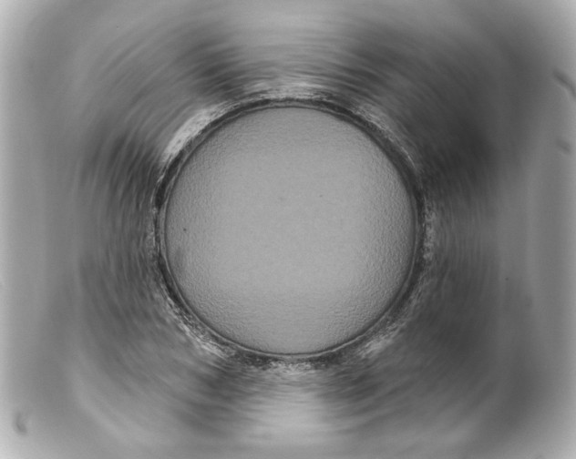 X0000099380978200805291125