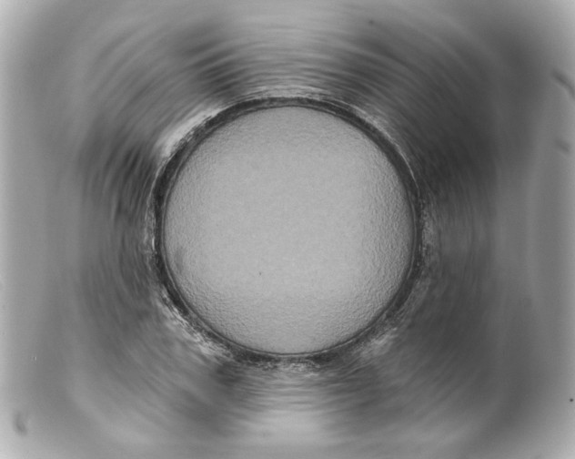 X0000099380979200805291125