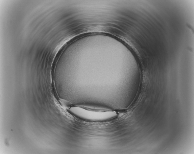 X0000099380980200805291125