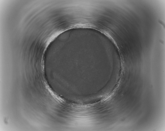 X0000099380981200805291125