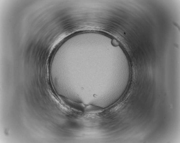 X0000099380982200805291125