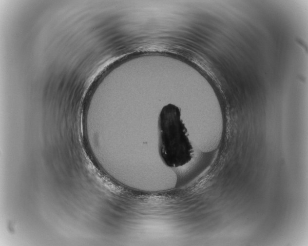 X0000099380984200805291125