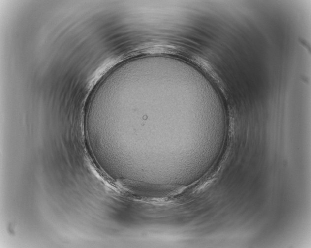 X0000099380986200805291125