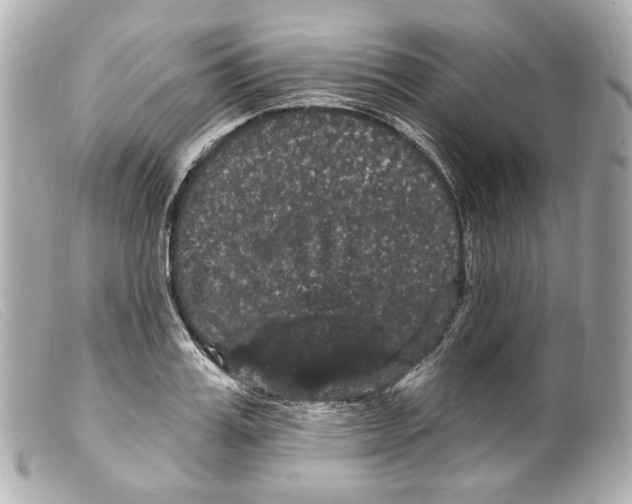 X0000099380987200805291125